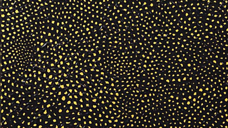 Yayoi Kusamas Werk Nets Infinity in der 25 Ausstellung im MUCA München erleben