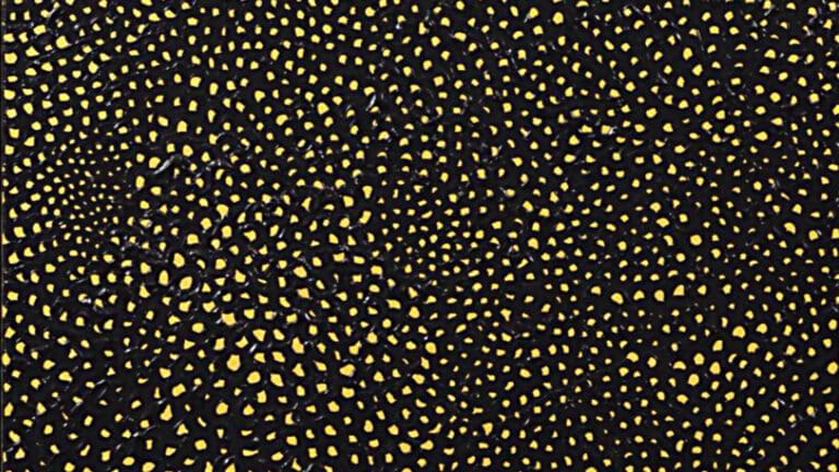 Yayoi Kusamas Werk Nets Infinity in der 25 Ausstellung im MUCA München erleben