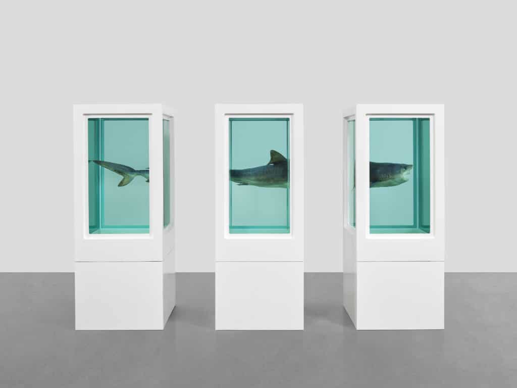 Damien Hirst the Weight of Things Ausstellung MUCA
