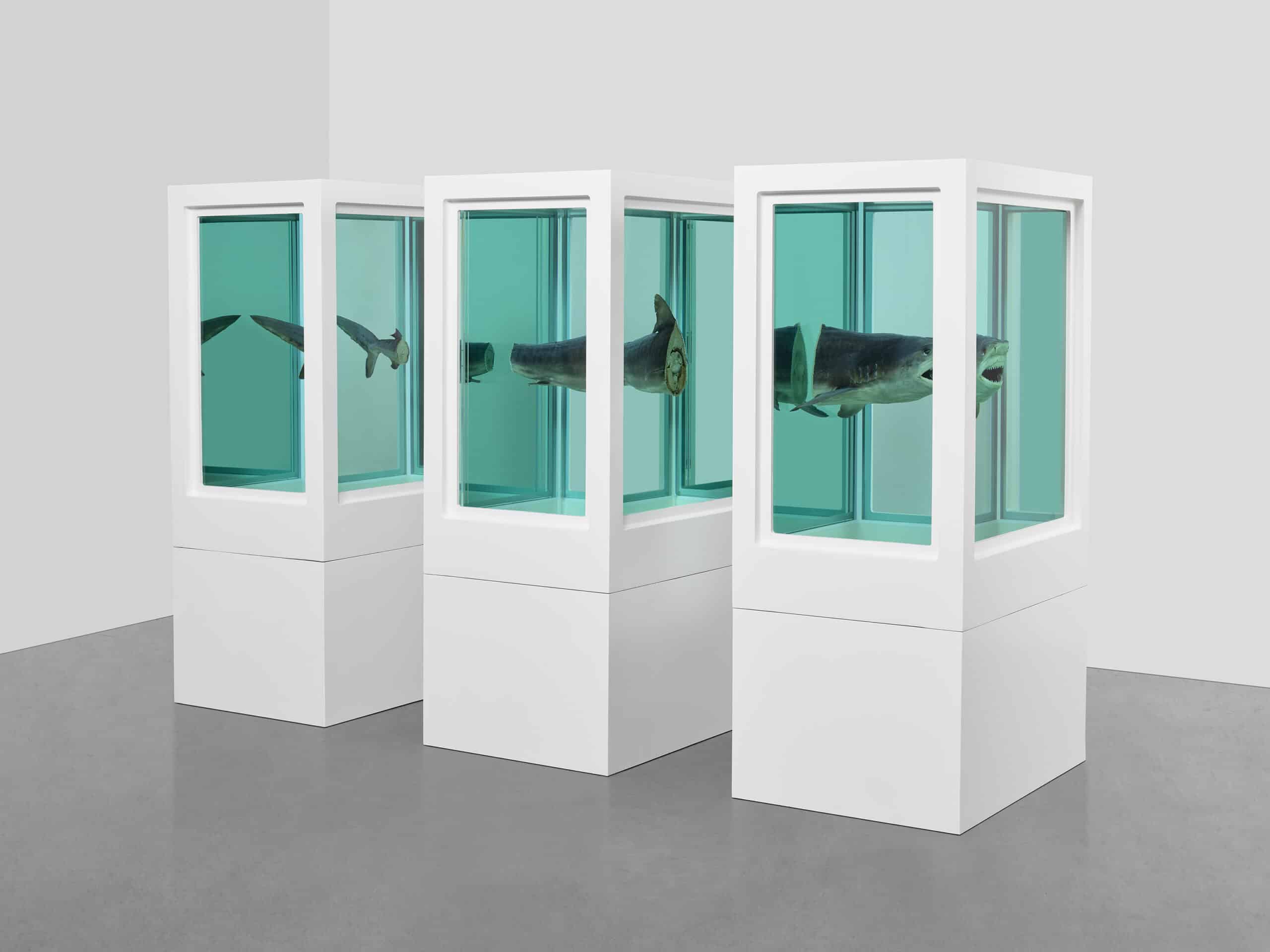Myth-Explored-Explained-Exploded-Damien Hirst Ausstellung MUCA