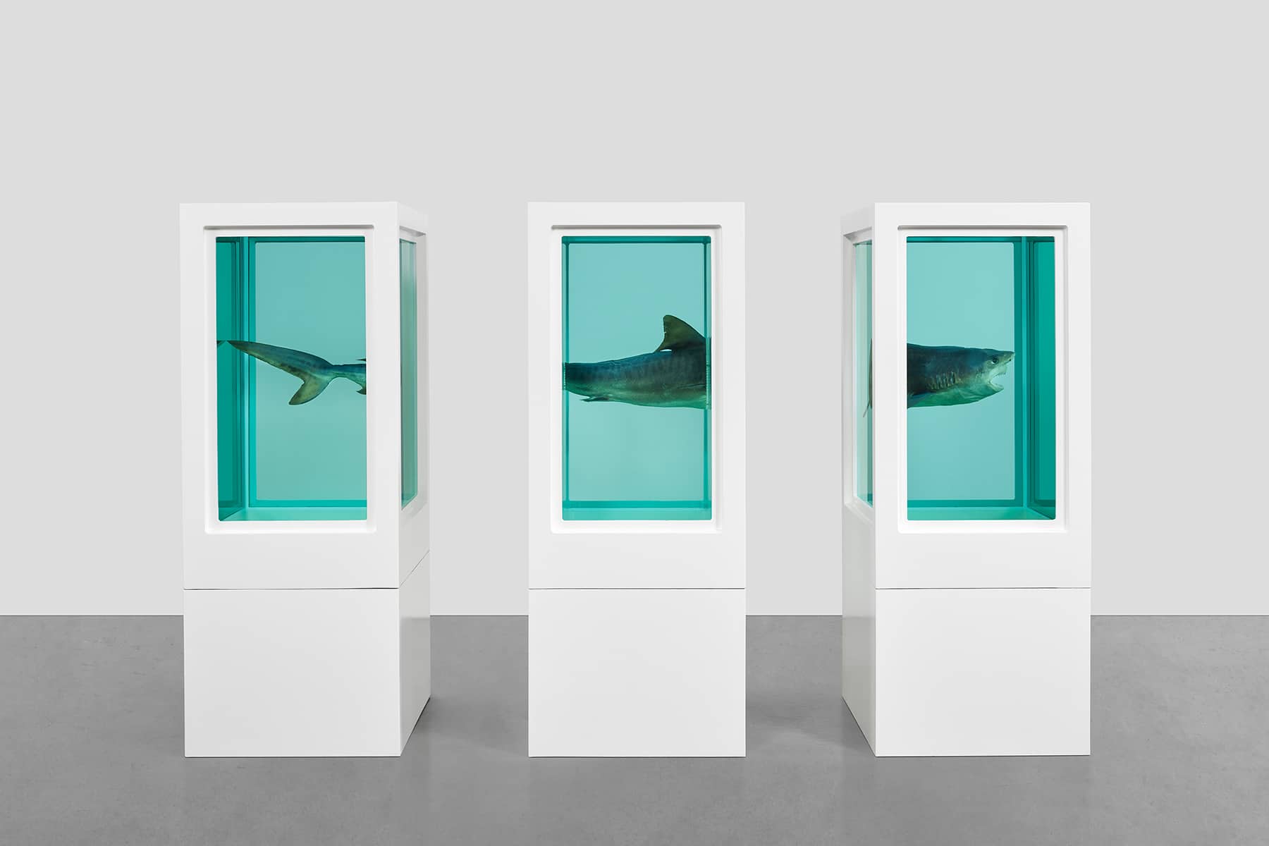 damien-hirst-myth-explored-